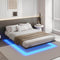 Cadre de lit flottant en métal avec lumières LED et sommier à lattes Noir (sans matelas) - FR.SIKAIC