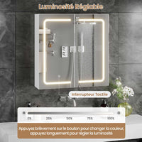 2 Portes Armoire de Salle de Bain avec Miroir LED Étagères Réglables et Rangement Blanc - FR.SIKAIC