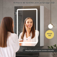 50 cm Armoire de toilette avec éclairage LED et étagères réglables Blanc - FR.SIKAIC