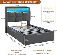 FR.SIKAIC Lits et Cadres de Lit Cadre de Lit en Lin avec Lumières LED et Prise Sommier à Lattes et Rangement Hydraulique Gris
