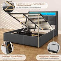 FR.SIKAIC Lits et Cadres de Lit Cadre de Lit en Lin avec Lumières LED et Prise Sommier à Lattes et Rangement Hydraulique Gris