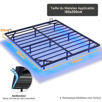 Cadre de lit flottant en métal avec lumières LED et sommier à lattes Noir (sans matelas) - FR.SIKAIC