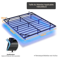 Cadre de lit flottant en métal avec lumières LED et sommier à lattes Noir (sans matelas) - FR.SIKAIC