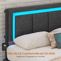 FR.SIKAIC Lits et Cadres de Lit Gris / Métal / 90 X 190 cm Canapé-lit 90x190 avec éclairage LED et bloc multiprise, Gris