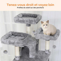 194 cm Grand Arbre à chat avec 3 Grands Perchoirs 2 Grottes Poteaux en sisal Hamac et Griffoir Gris Clair - FR.SIKAIC