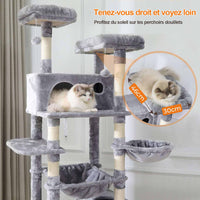 193 cm Grand Arbre à Chat pour grands Chats Stable avec 2 Plates-formes 2 Grottes pour chats et 3 Hamacs Gris clair - FR.SIKAIC