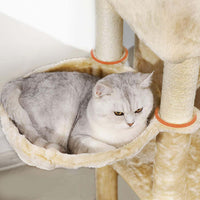 153 cm Arbre à Chat Stable pour Grands Chats avec Grands Troncs en Sisal Naturel Beige - FR.SIKAIC